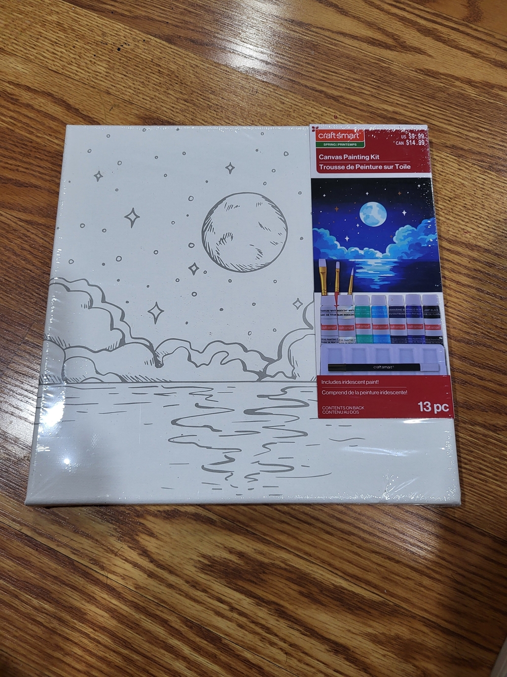Blue Moon Canvas Painting Kit - 13 Pc